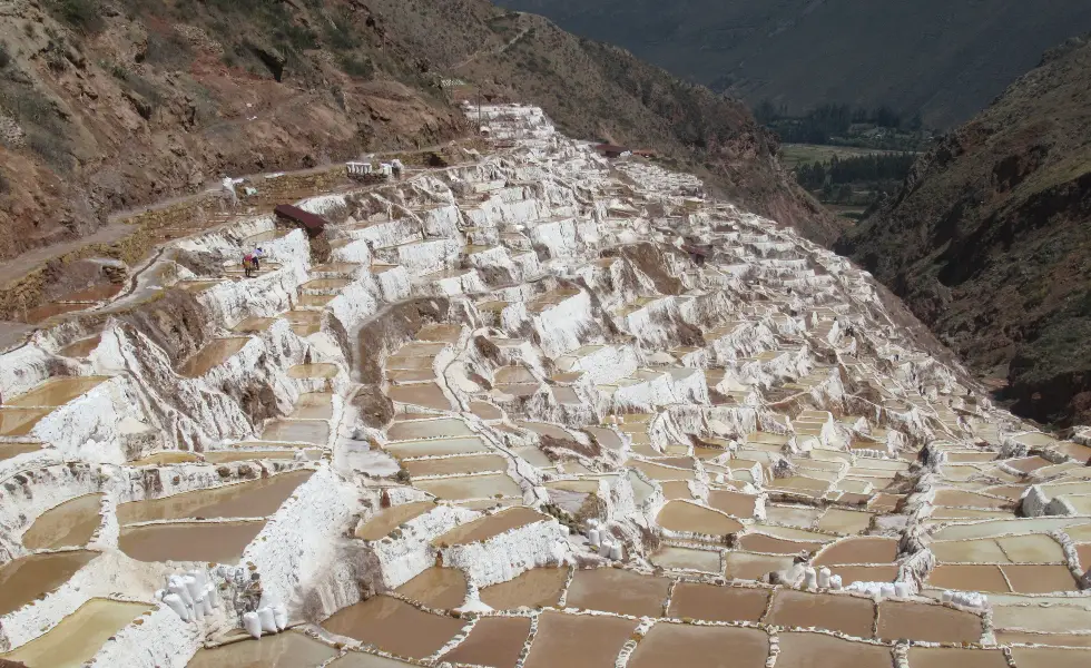 La sal, un pilar en la supervivencia y desarrollo de la humanidad