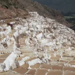 La sal, un pilar en la supervivencia y desarrollo de la humanidad