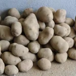 Unha verdadeira marabilla nutricional